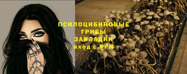 скорость Арсеньев